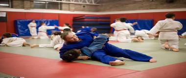 体育赛事奖励与激励系统